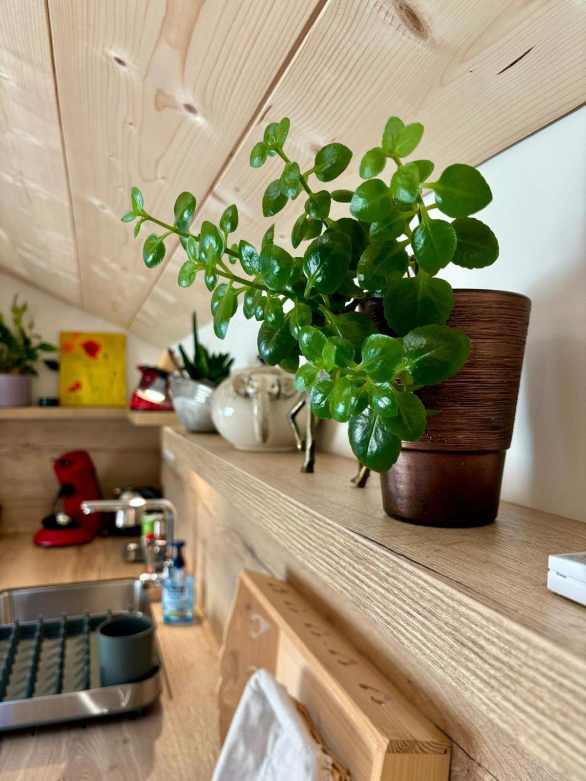 Sous Le Saule Apartamento Nods Exterior foto